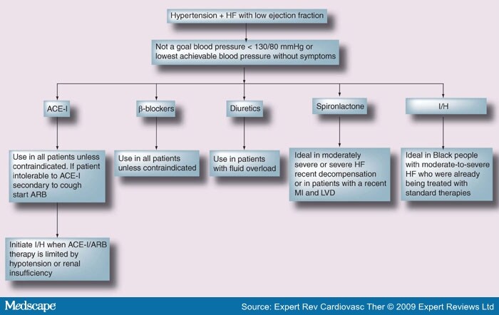 pathophysiology of hypertension. treatment of hypertension