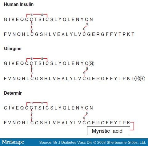 amino acid code. Amino acid sequences of native