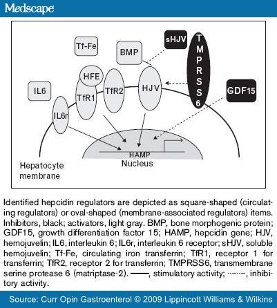 Hereditary Hemochromatosis