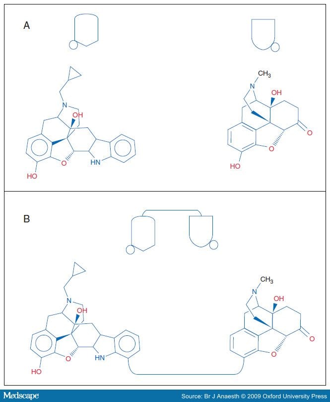 (A) Structures are Oxymorphone on the Right and Naltrindole on the Left that 
