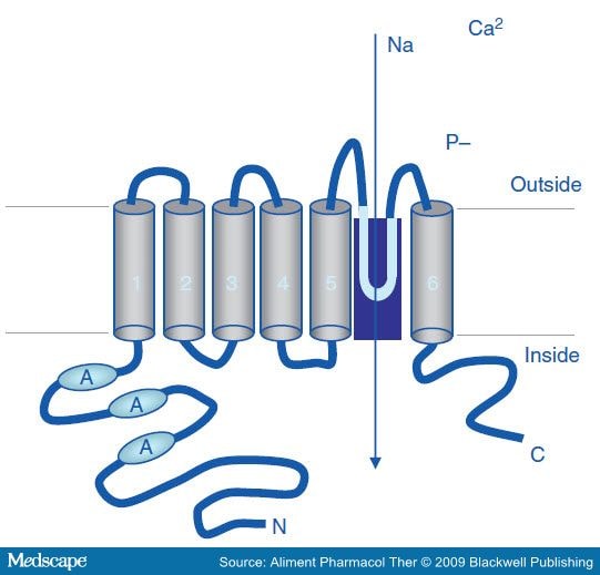 Structure of the TRPV1