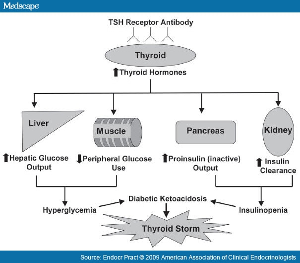 The effects of excess thyroid hormone on various organ systems resulting in 