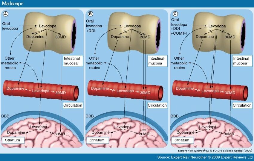 Sinemet Side Effects Parkinson Disease