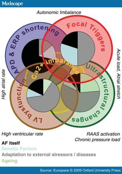Early and Comprehensive Management of Atrial Fibrillation