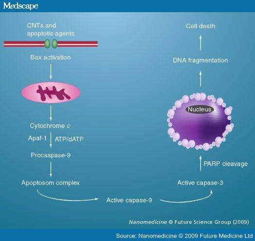 Cancer as related to Etoposide Injection - Pictures Cancer as related to Etoposide Injection - Pictures