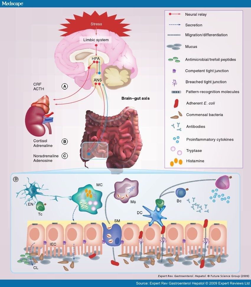 Psychoneuroimmunology; Psychoimmunology
