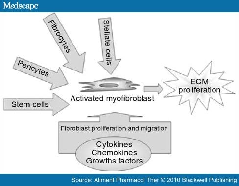 Sclerosis Liver. Anti-Fibrotic Agents for the .