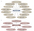 Metabolic Acidosis Pathophysiology | RM. Metabolic Acidosis Pathophysiology | RM.