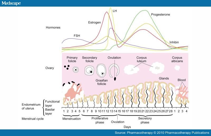 Danazol oral : uses, side effects, interactions, pictures 