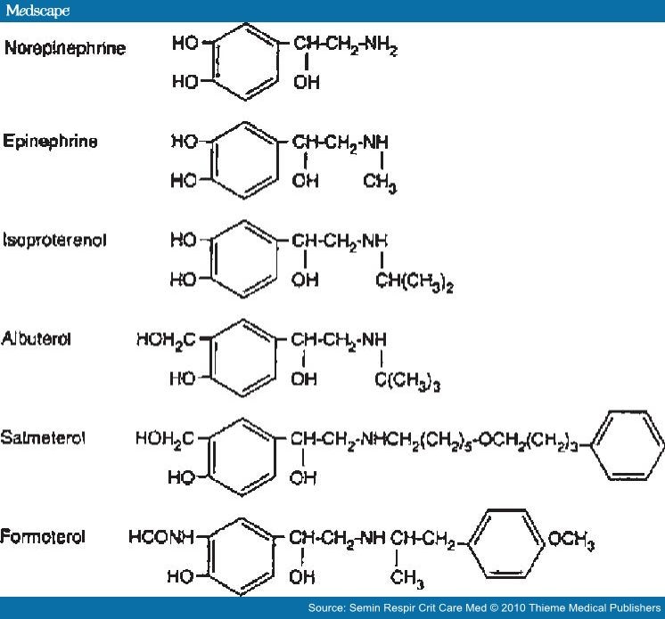 B2 Agonist