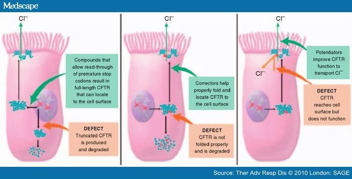 Cftr Protein