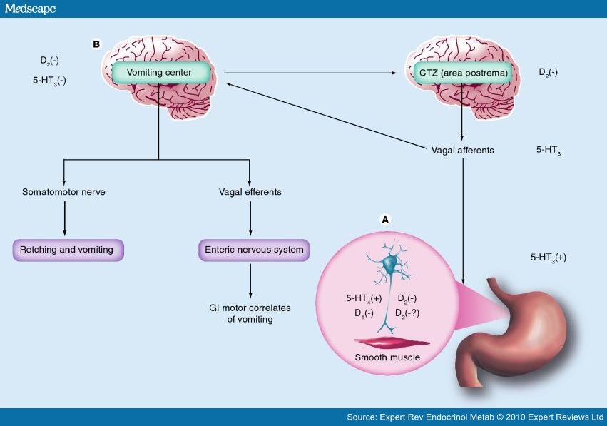 dating girl with gastroparesis