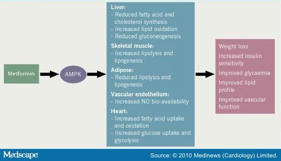 Gabapentin or neurontin 400