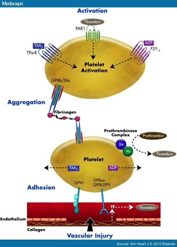 Receptor System For Commercial Windows