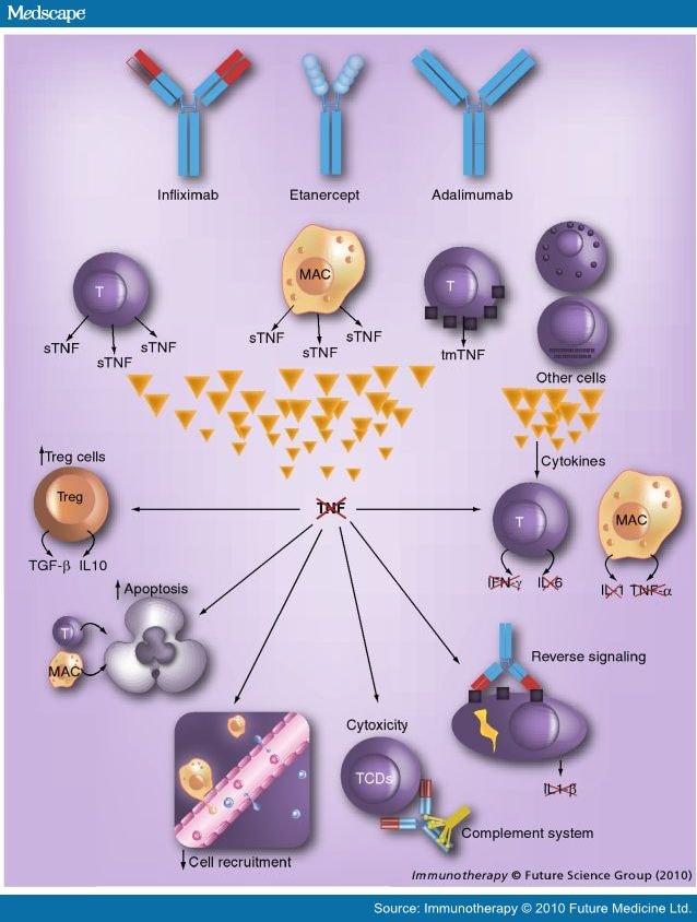 Anti-TNF-alpha Agents in Immune-Mediated Inflammatory Diseases