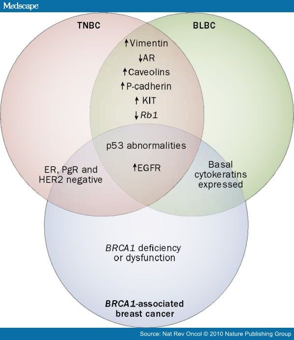 triple negative breast cancer