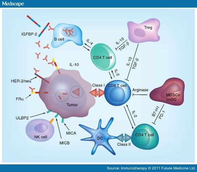 Nk Cells Cancer