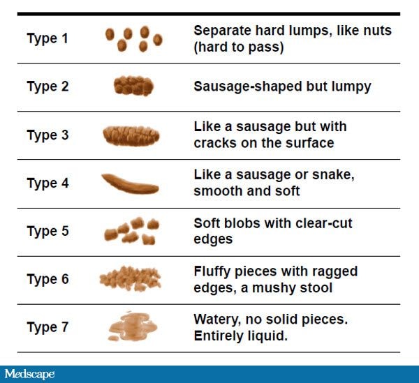 bristol poo scale