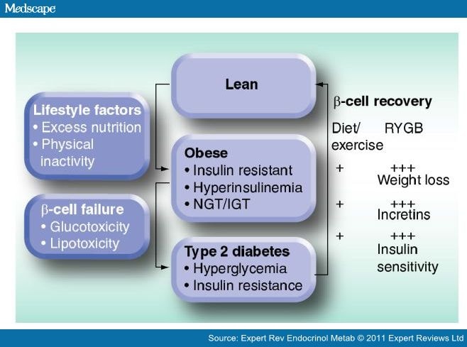 Maintenance Diet For Insulin Resistance