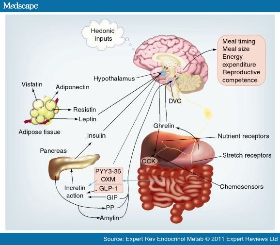 http://img.medscape.com/article/746/807/746807-fig1.jpg