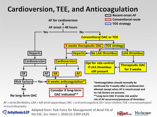 New Options For Anticoagulation Before And After Cardioversion (transcript)