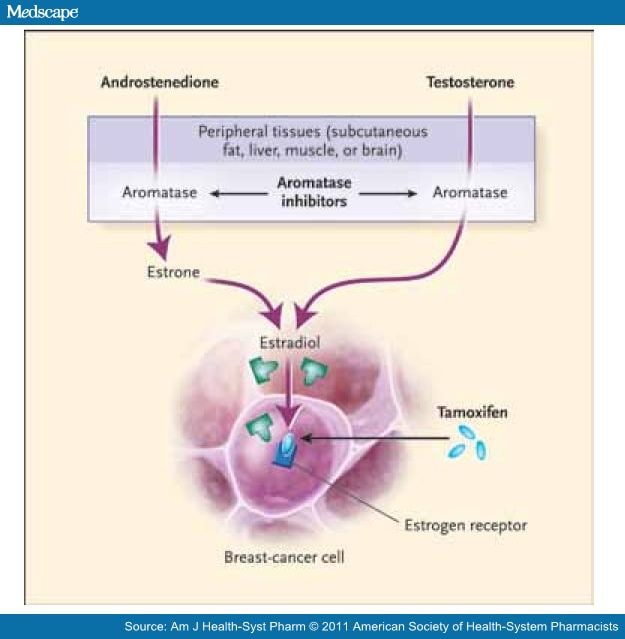 Aromatase Inhibitor Therapy in Early-Stage Breast Cancer