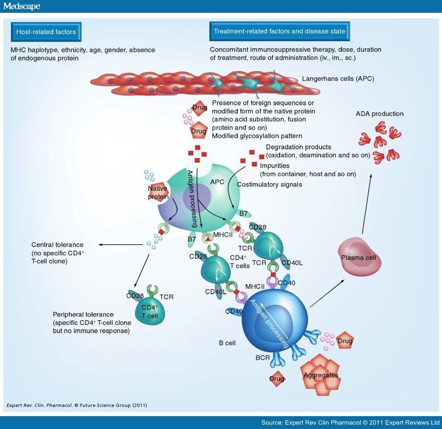 Overcoming Immunogenicity Associated With Biopharmaceuticals