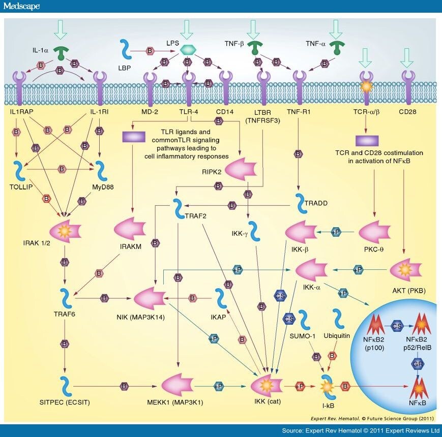 Lps Signalling