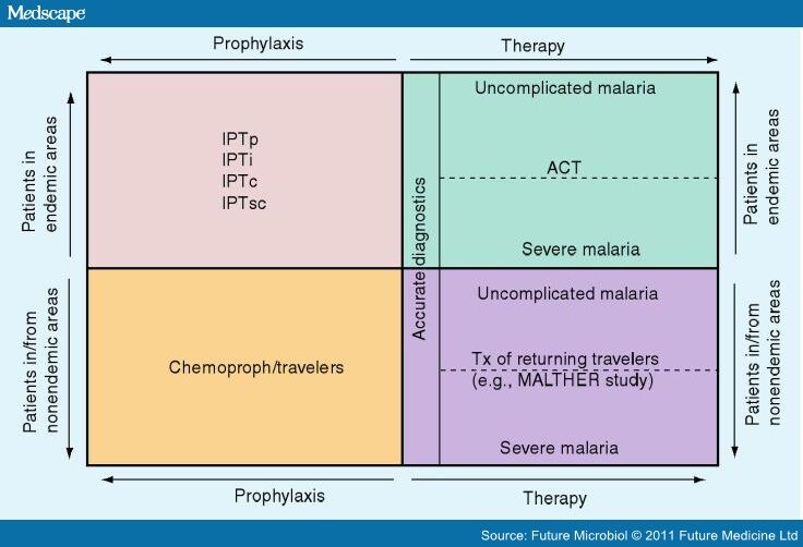 Costeffectiveness of Malaria Treatment and Prophylaxis