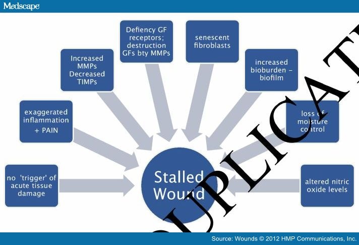 Wound Bed Preparation