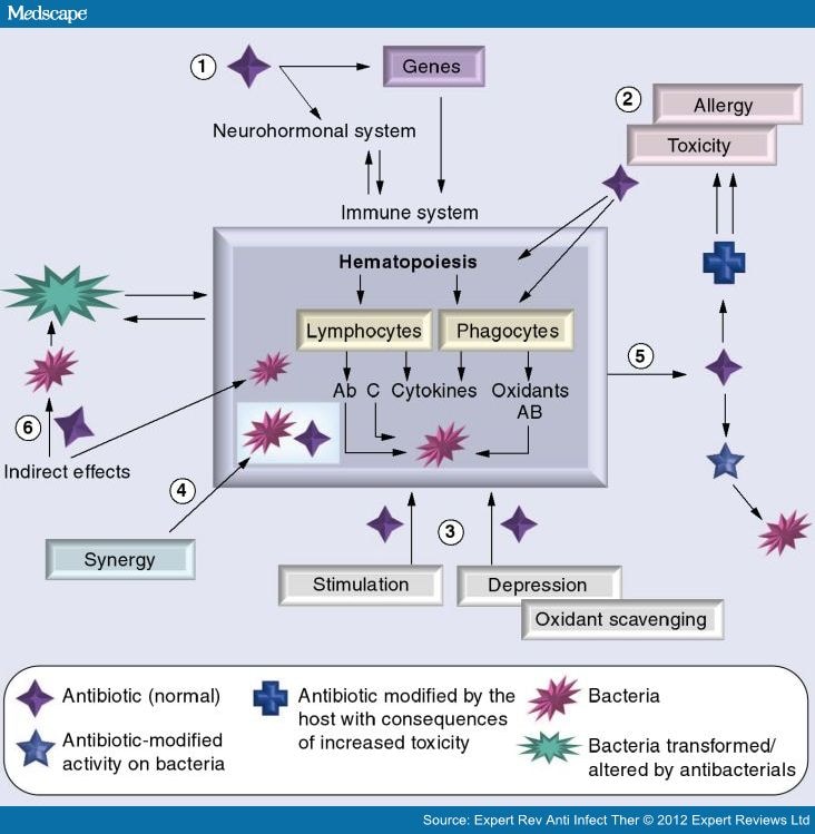 Amantadine Mechanism