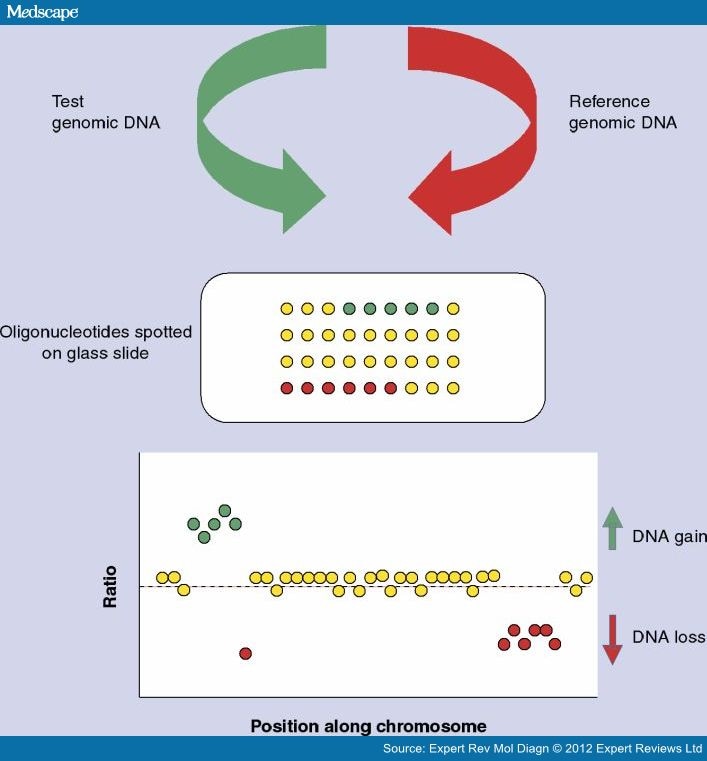 Dna Chip Technology