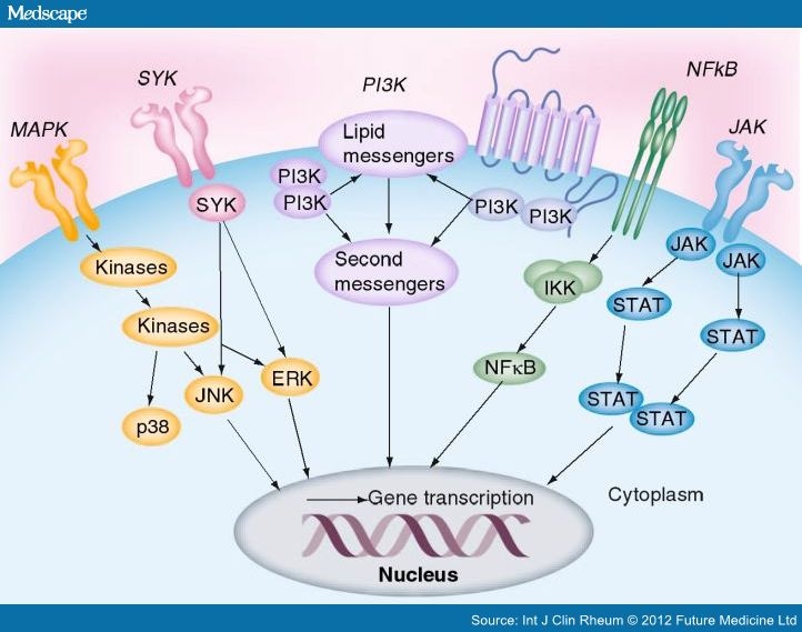 what dose of methotrexate for rheumatoid arthritis