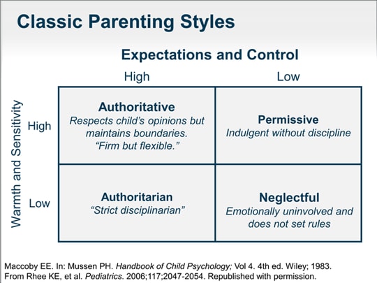 Classification essay about parenting styles