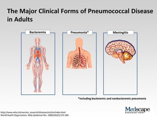 Burden Of Pneumococcal Disease In Older Adults Patients At Risk And