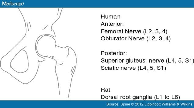 treatment-sciatica