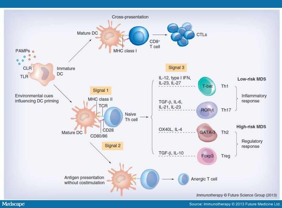 Treatment options and strategies for antibody mediated rejection after renal transplantation