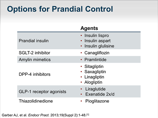 prandial insulin