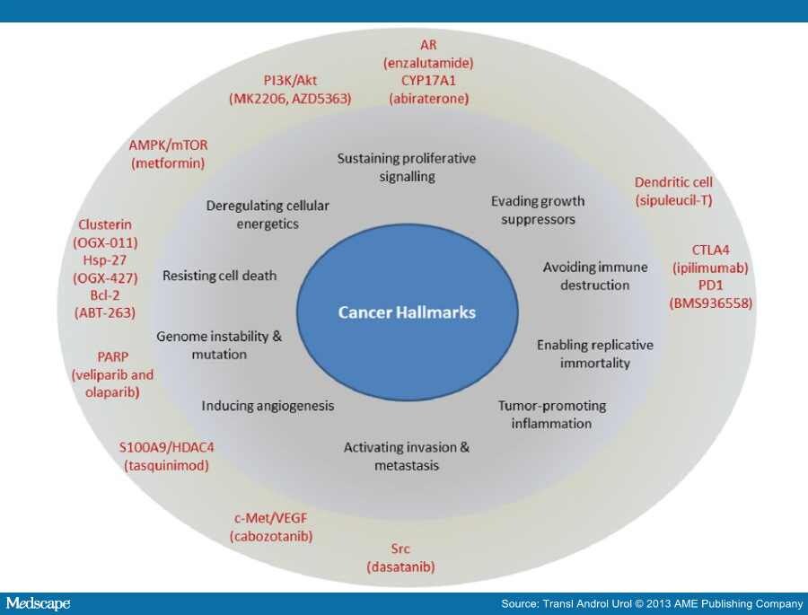 Research papers on leadership
