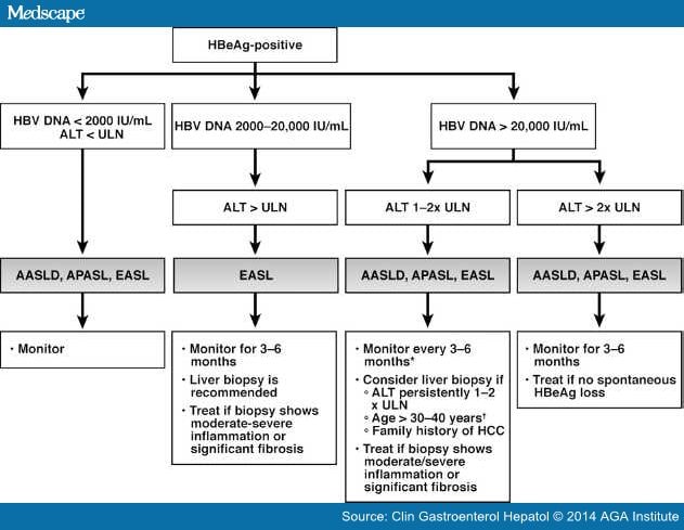 Hepatitis B Management In Clinical Practice