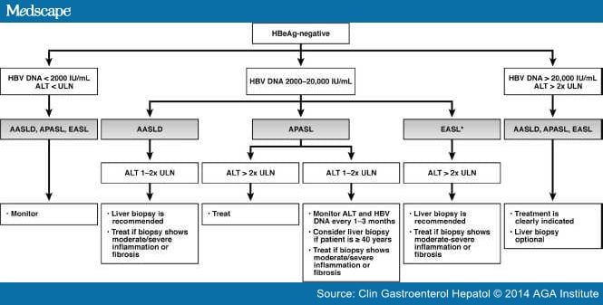 Hepatitis B Management In Clinical Practice