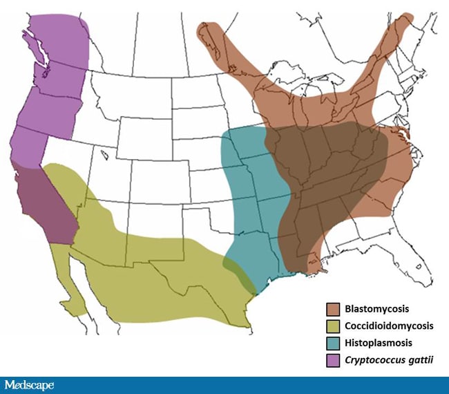 Fungal Disease A Growing Nemesis