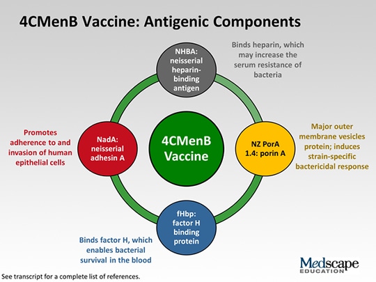 Progress Against Meningococcal Serogroup B Disease: What Clinicians ...