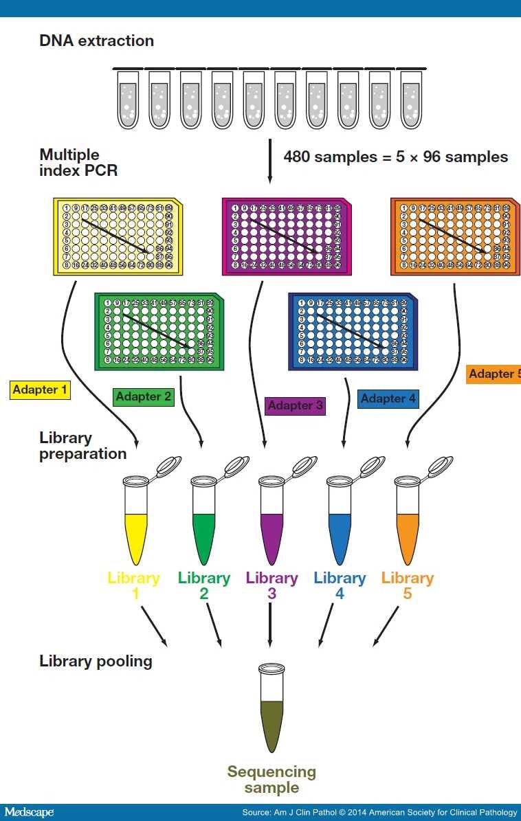 A New HPV Genotyping Assay