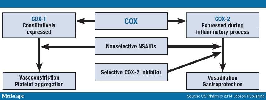 Cardiovascular Risk With Nsaids And Cox 2 Inhibitors 8848