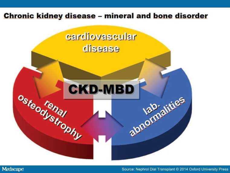 Is Ckd Mineral Bone Disorder Really A Syndrome