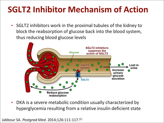 SGLT2 Inhibitors and Diabetic Ketoacidosis What's All the