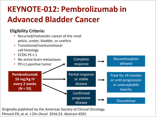 Bladder Cancer And Cancer Immunotherapy A New Path Forward