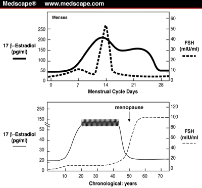 Estrogen Levels