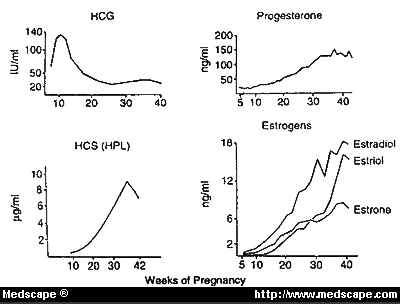 Hcg Pregnancy